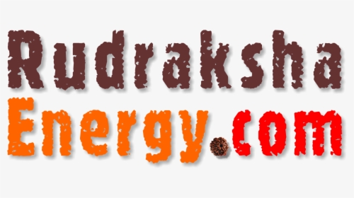 Large Rudraksha Energy - Complicity, HD Png Download, Transparent PNG
