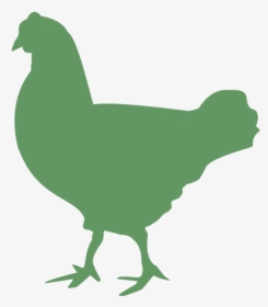 Rooster Chicken Duck Cattle Broiler - Chicken With Eggs Silhouette, HD Png Download, Transparent PNG