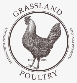 Grassland Poultry - Public Domain Rooster Illustration, HD Png Download, Transparent PNG