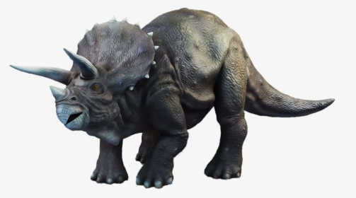 Triceratop Png Picture - Dinosaurios Triceratop Png, Transparent Png, Transparent PNG