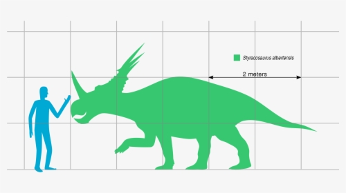 Dinosaurs Svg Triceratops - Styracosaurus Compared To Human, HD Png Download, Transparent PNG
