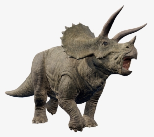   - Jurassic World Evolution Triceratops Database, HD Png Download, Transparent PNG