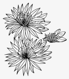Floral, Flower, Nature, Outline Art, Plant, Wild - Montana State Flower Drawing, HD Png Download, Transparent PNG