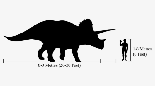 Triceratops Information, HD Png Download, Transparent PNG