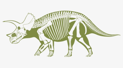 Skeliton Clipart Triceratops - Transparent Dino Fossil Clip Art, HD Png Download, Transparent PNG