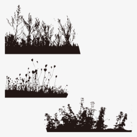 Silhouette Tree Wallpaper - Silhouette Clip Art Tree Black And White, HD Png Download, Transparent PNG
