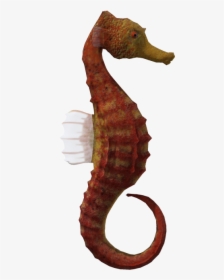 Seahorse Animal 3d Computer Graphics - Seahorse With No Background, HD Png Download, Transparent PNG