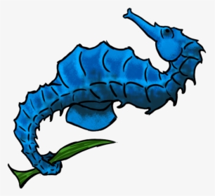 Browse And Download Seahorse Png Pictures, Transparent Png, Transparent PNG