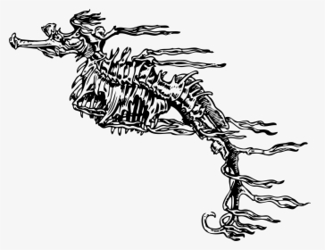 Fucus-like Seahorse Clip Arts - Skeleton Seahorse, HD Png Download, Transparent PNG