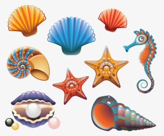 Beach Clipart Printable - Clam Shell Png Clipart, Transparent Png, Transparent PNG