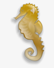 Transparent Seahorse Clipart - Gold Seahorse Clipart, HD Png Download, Transparent PNG