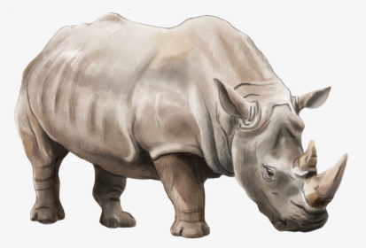 Rhino Png, Transparent Png, Transparent PNG