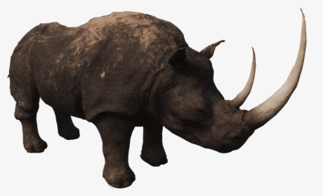 Rhino Png Photos - Rhinoceros, Transparent Png, Transparent PNG