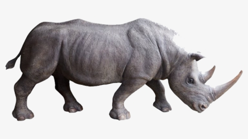 Rhino Png Photo Background - Rhino Side View, Transparent Png, Transparent PNG