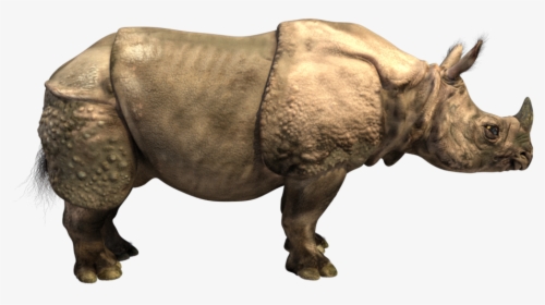 Painting Of One Horned Rhino - One Horned Rhino Png, Transparent Png, Transparent PNG
