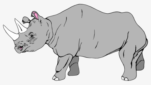 Transparent Rhinoceros Png - Transparent Background Rhino Clipart, Png Download, Transparent PNG