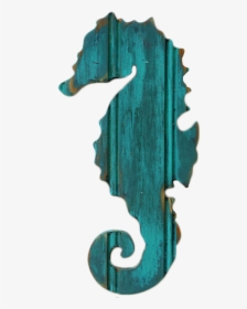 Northern Seahorse, HD Png Download, Transparent PNG