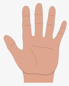 Cartoon Palm Of Hand, HD Png Download, Transparent PNG