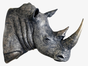 Rhinoceros Transparent Images - White Rhino Head Sculpture, HD Png Download, Transparent PNG