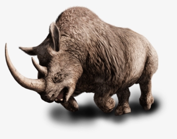 Far Cry Wiki - Wooly Rhino Far Cry, HD Png Download, Transparent PNG