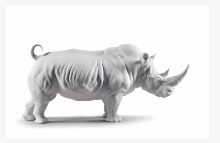 Rhino - White Porcelain Rhino, HD Png Download, Transparent PNG
