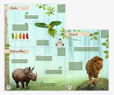 Indian Rhinoceros , Png Download - Indian Rhinoceros, Transparent Png, Transparent PNG