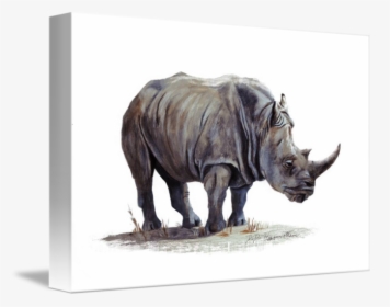 Transparent Rhinoceros Png - Painting, Png Download, Transparent PNG