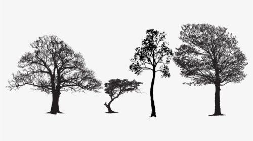Tree Euclidean Vector Silhouette Vector Packs - Tree Eps File, HD Png Download, Transparent PNG