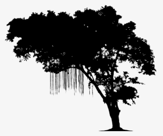 Fictionality Image Hashtag Narrative Book - Silhouette Reading In Tree, HD Png Download, Transparent PNG