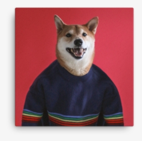 Mensweardog Love Is Love Canvas Print - Menswear Dog, HD Png Download, Transparent PNG