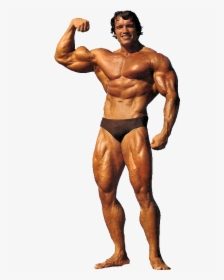 Arnold Png - Arnold Schwarzenegger Bodybuilding Png, Transparent Png, Transparent PNG