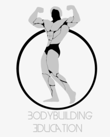 Arnold Schwarzenegger Bodybuilding Logo Clipart , Png - Arnold Schwarzenegger Bodybuilding Logo, Transparent Png, Transparent PNG