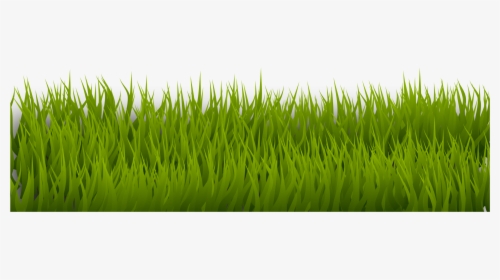 Grass 1 Clip Arts - Grass Drawing Png Transparent, Png Download, Transparent PNG