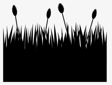 Transparent Grass Clipart Silhouette - Flower Field Silhouette Png, Png Download, Transparent PNG