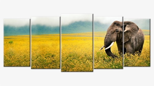 African Landscape & Wildlife Canvas - Cover Photo Facebook Quotes Elephant, HD Png Download, Transparent PNG