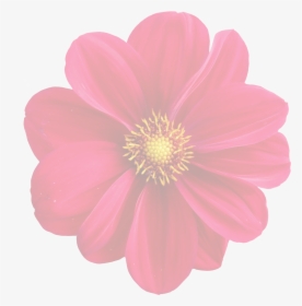 Dahlia Clipart Flower Blossom - Animasi Bunga Dahlia, HD Png Download, Transparent PNG