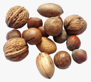 Nut Png Image - Transparent Nuts, Png Download, Transparent PNG