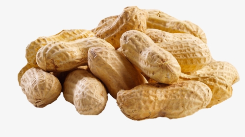 Peanut Png Transparent Images - Chemical Composition Of Peanut Butter, Png Download, Transparent PNG