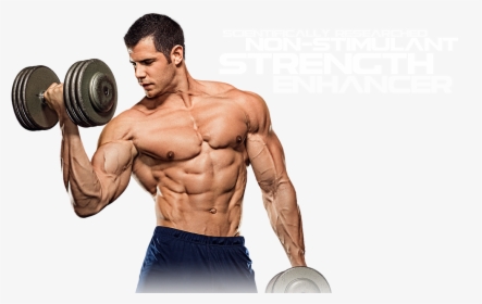 Muscle Png File Download Free - Weight Training, Transparent Png, Transparent PNG