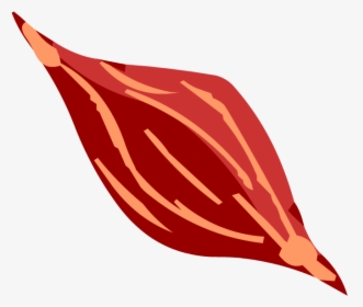 Transparent Muscle Icon Png - Transparent Muscle Cell Png, Png Download, Transparent PNG