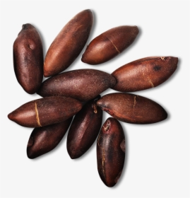 Barukas Nuts, HD Png Download, Transparent PNG