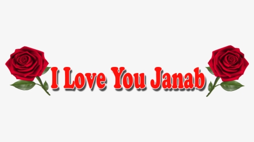 I Love You Janab Red Rose Png - Happy Anniversary Png Text, Transparent Png, Transparent PNG