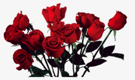Vintage Love Tumblr Tumblrgirl Rosas Flowers - Aesthetic Transparent Rose Png, Png Download, Transparent PNG