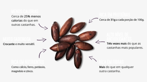 Barukas Nuts, HD Png Download, Transparent PNG