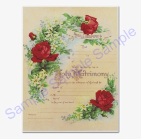 Red Roses - Rose Floral Marriage Certificate, HD Png Download, Transparent PNG