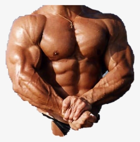 #muscle #body #male #strong #ripped #bod #dadbod #freetoedit - Gnome Bodybuilder, HD Png Download, Transparent PNG