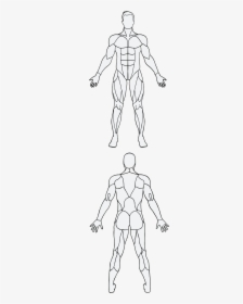 Muscle, HD Png Download, Transparent PNG