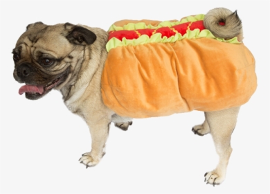 Wheres Waldo Halloween Costume X Weiner Dog Guy Ideas - Dog In Hotdog Costume Png, Transparent Png, Transparent PNG