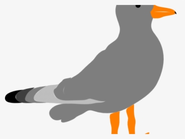 Transparent Seagull Png - Clip Art Gull, Png Download, Transparent PNG