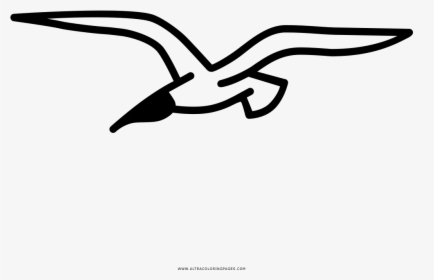 Transparent Seagull Png - Cómo Dibujar A Una Gaviota, Png Download, Transparent PNG
